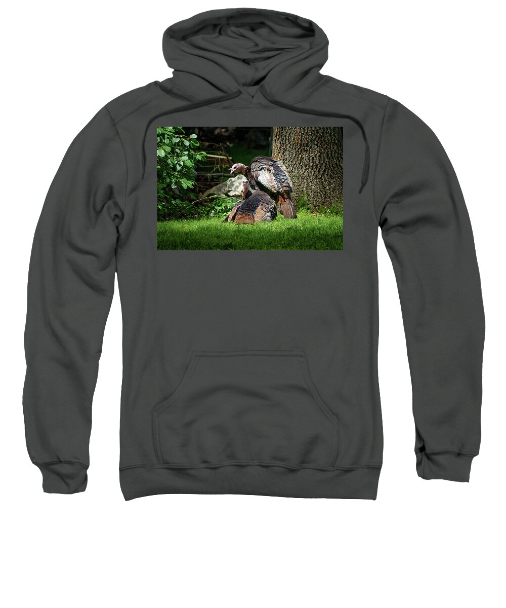 Wild Sweatshirt featuring the photograph Pair of Wild Turkeys by Steven Nelson