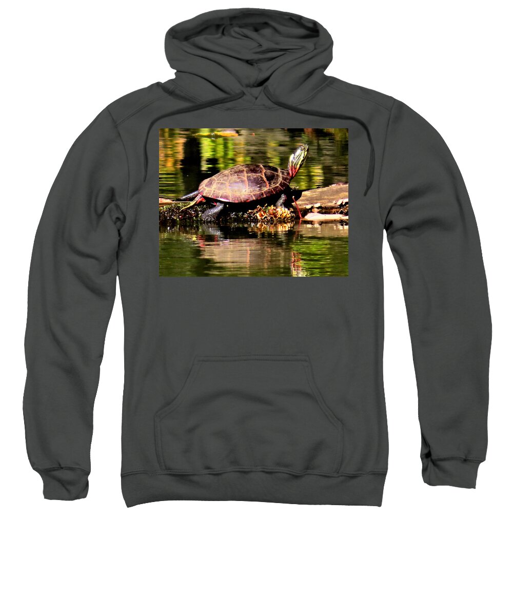 Turtles Sweatshirt featuring the photograph Turtle Sunning Itself in Autumn by Linda Stern