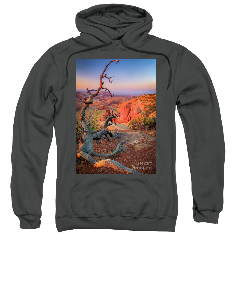 America Sweatshirt featuring the photograph Twisted Remnant by Inge Johnsson