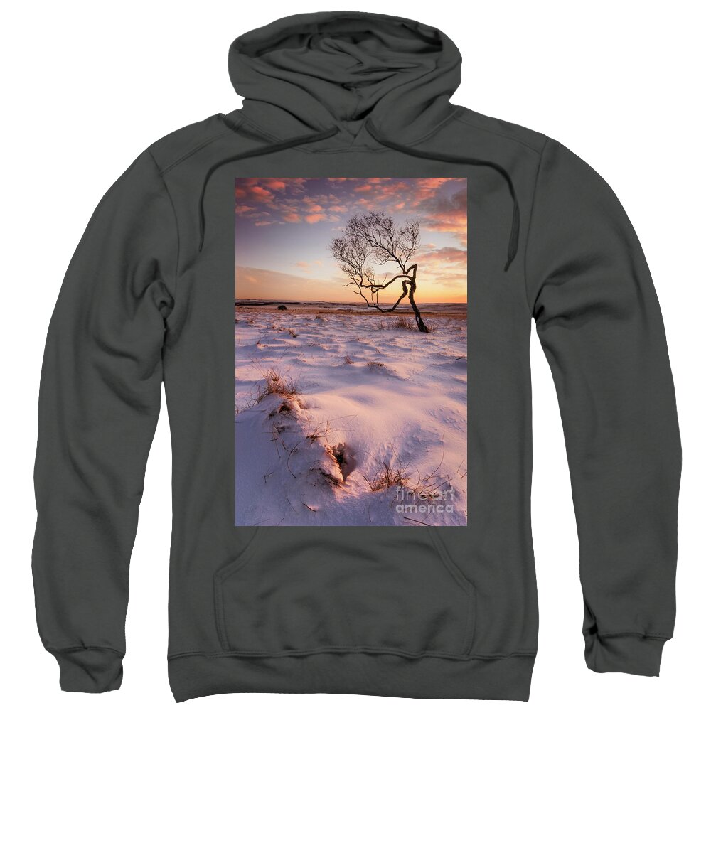 One Tree Sweatshirt featuring the photograph Twisted tree in the snow at sunset, Peak District National Park, Derbyshire, England by Neale And Judith Clark