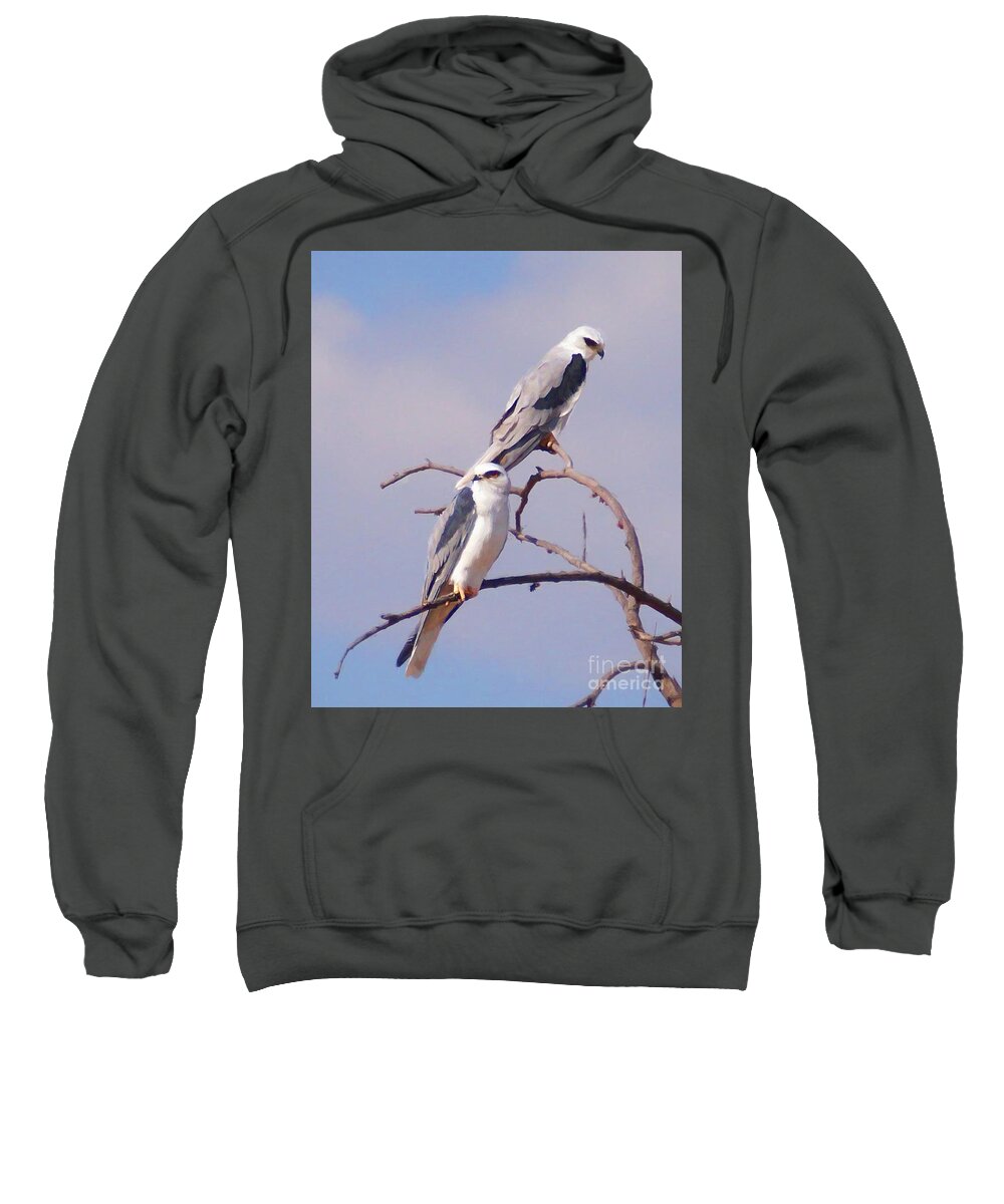 Eagles Sweatshirt featuring the photograph Two Beautiful Eagles by John Kolenberg
