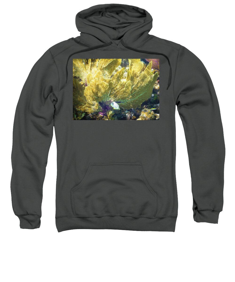 Ocean Sweatshirt featuring the photograph Undercover by Lynne Browne