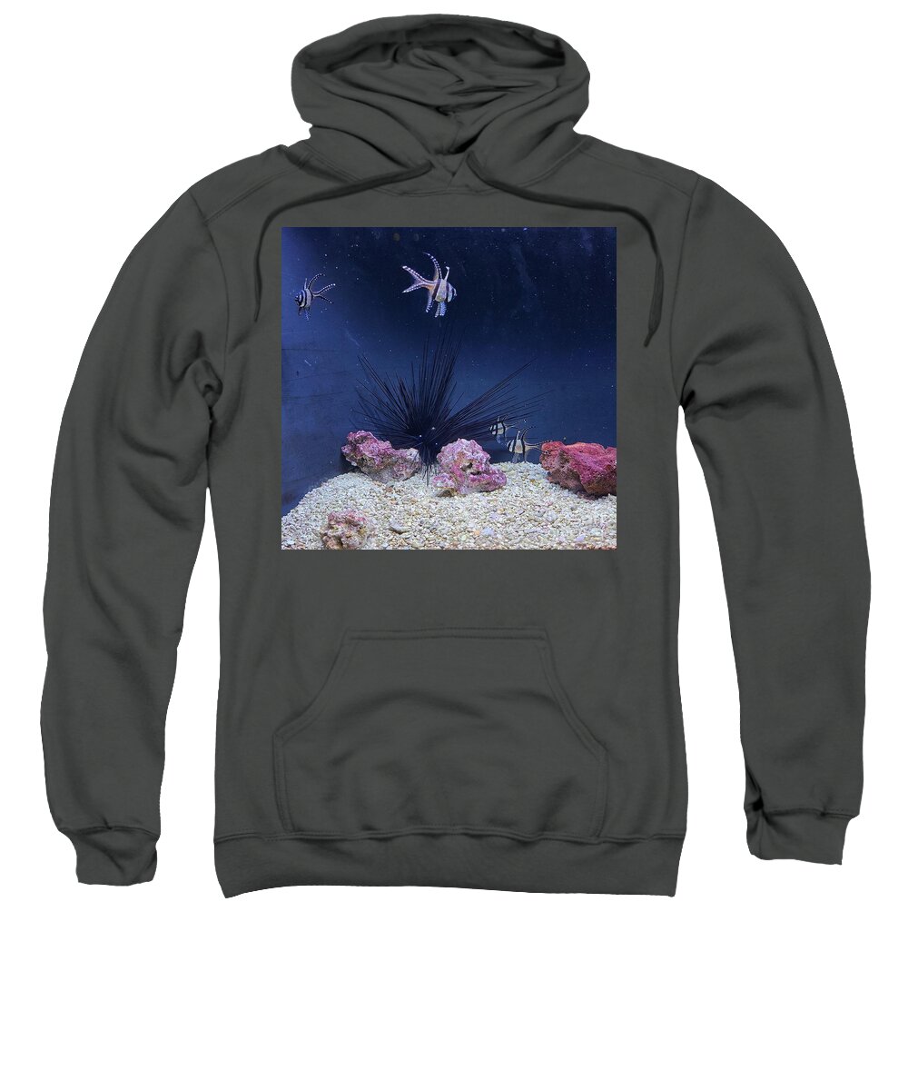 Aquarium Sweatshirt featuring the painting Underwater koosh by Elena Pratt