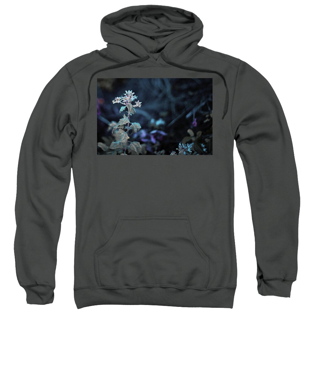 Nature Art Sweatshirt featuring the photograph Underworld by Gian Smith