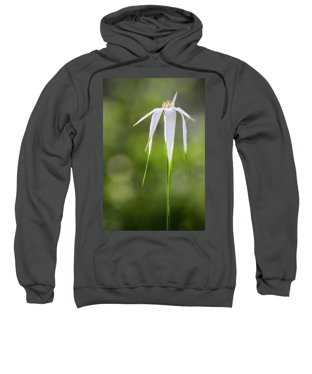 Wildflower Sweatshirt featuring the photograph White-topped Sedge Wildflower in the Croatan National Forest by Bob Decker
