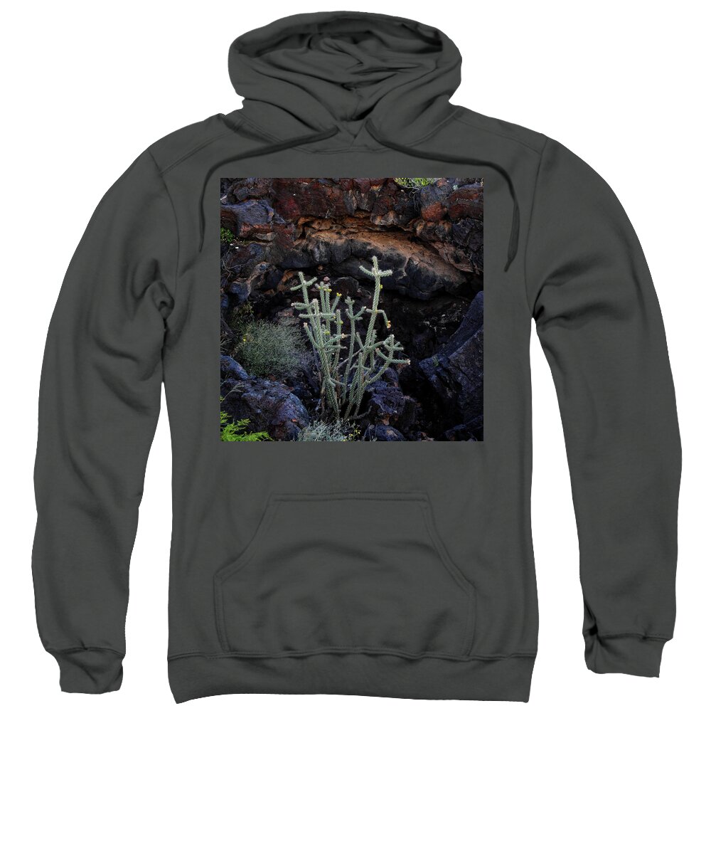 Black Rock Sweatshirt featuring the photograph Vegetation in the Valley of Fires by George Taylor