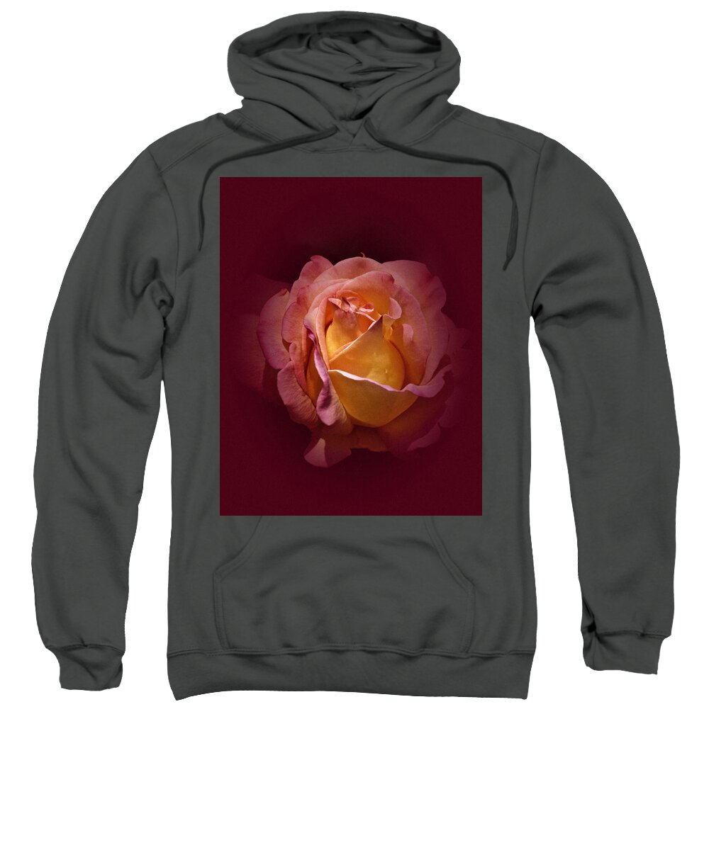 Rose Sweatshirt featuring the photograph Vintage Rose 2020 by Richard Cummings