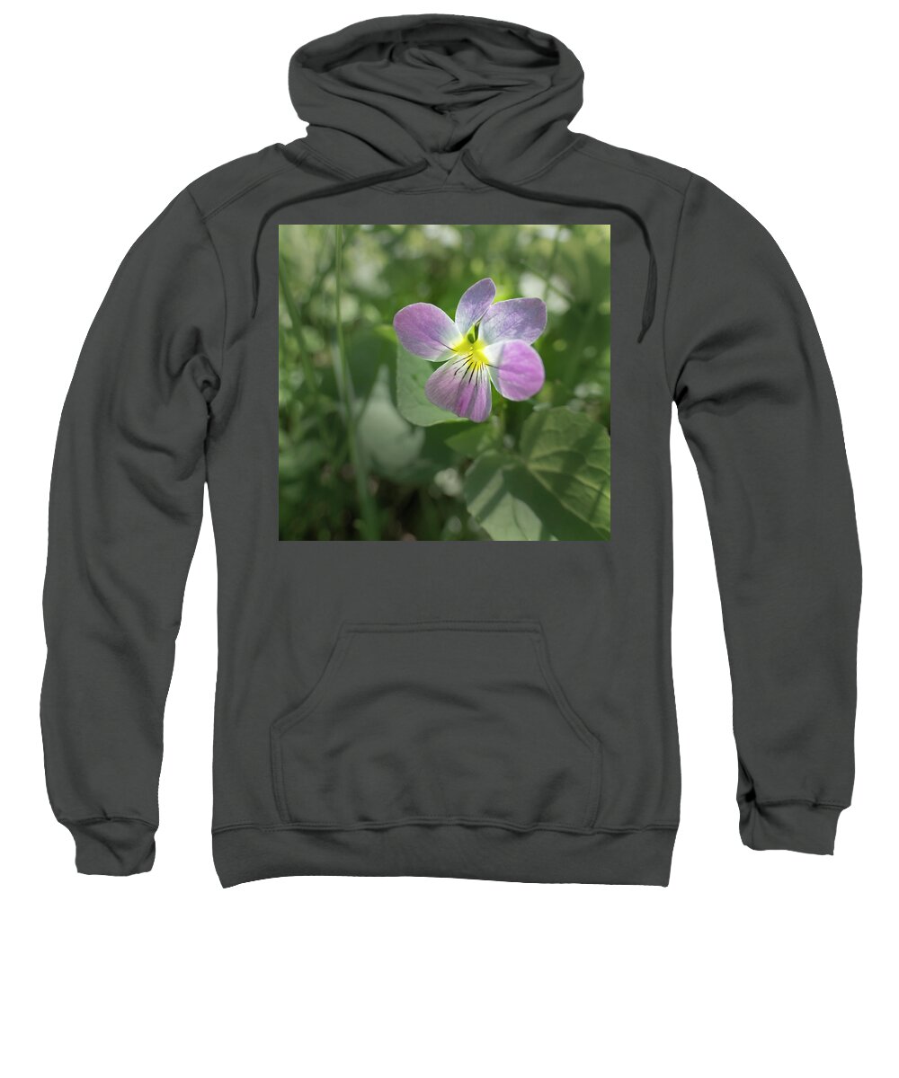 Violet Sweatshirt featuring the photograph Violet In The Woods by Karen Rispin