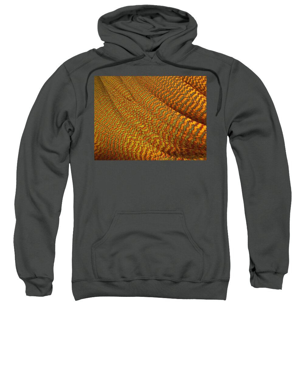 Abstract Sweatshirt featuring the photograph Vitamin C and Stevia Gallery 15 by Ivan Amato