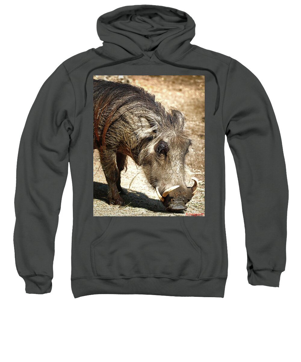 Warthog Sweatshirt featuring the photograph Warthog by Rene Vasquez