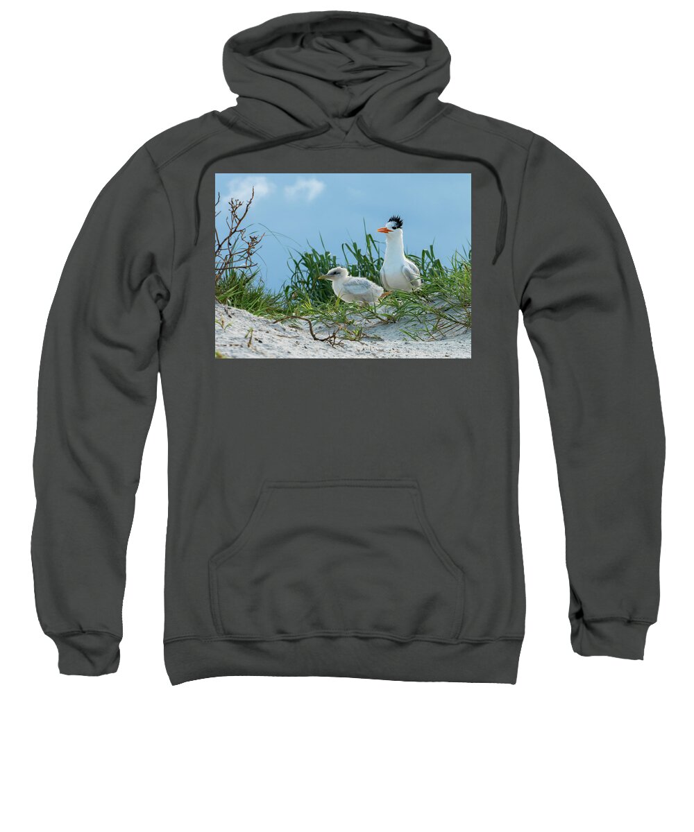  Sweatshirt featuring the photograph Watchful Eye by Todd Tucker