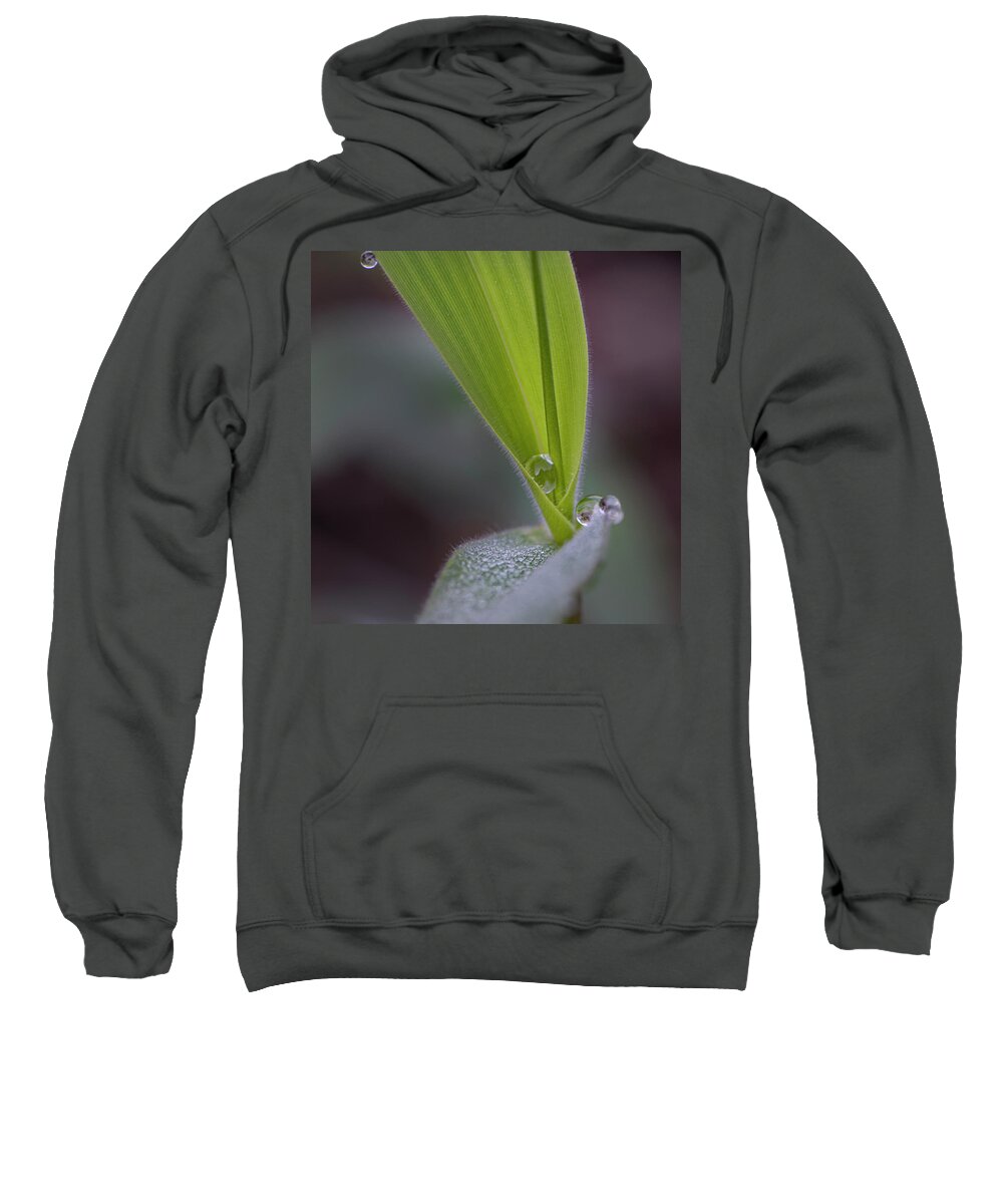Water Sweatshirt featuring the photograph Water Drop On Grass by Karen Rispin