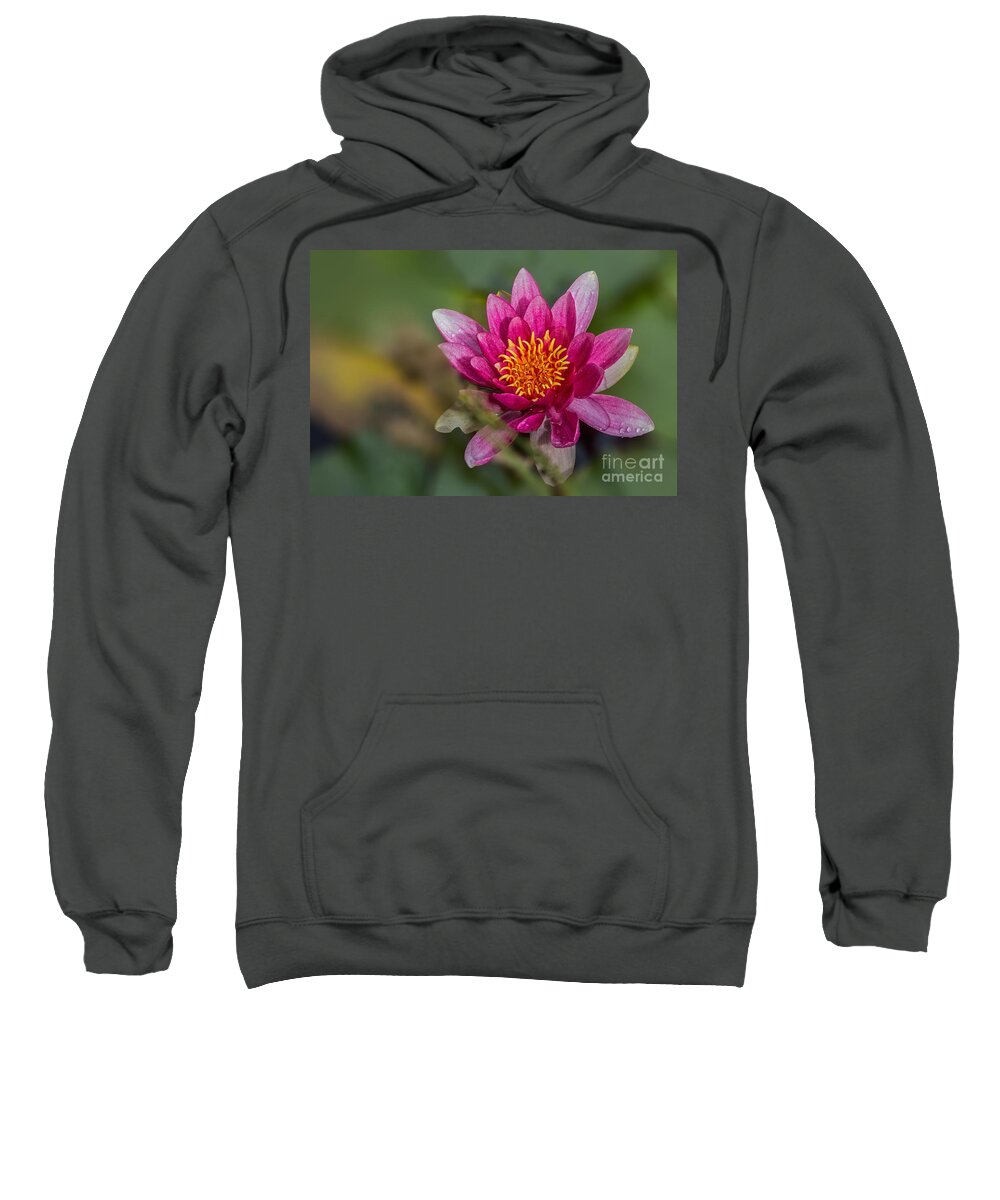 Water Sweatshirt featuring the photograph Water Lily by Bernd Laeschke