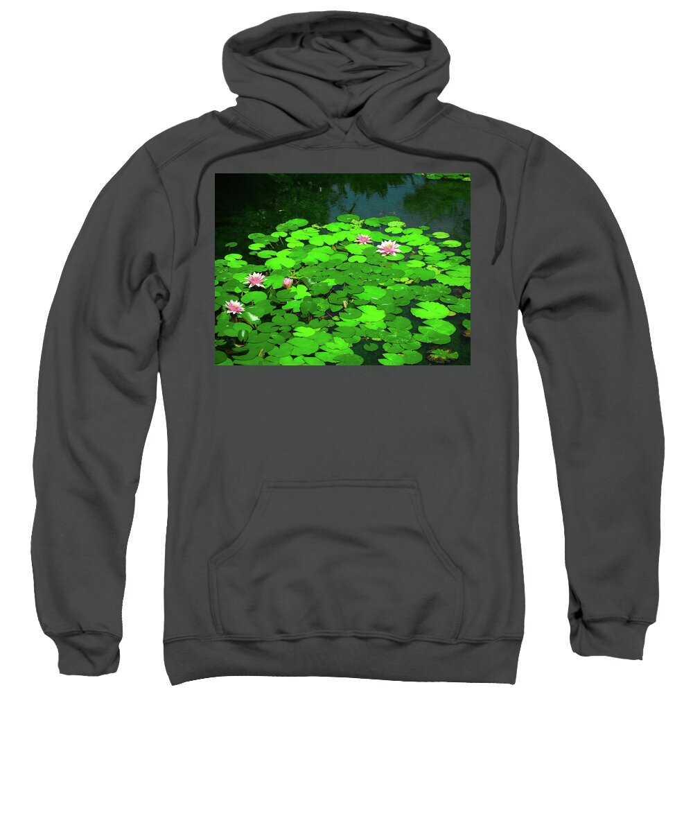 Water Flower Pond Nature Lotus Lily Plant Lake Leaf Waterlily Bloom Beauty Garden Summer Pink Reflection Flowers Leaves Flora Lilly Aquatic Spring Blossom Beautiful White Sweatshirt featuring the photograph Water Lily pond by Grey Coopre