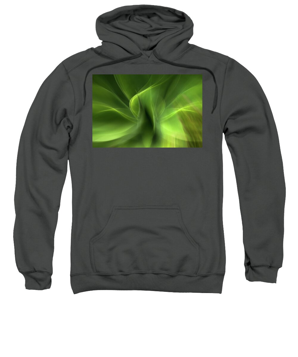 Agave Sweatshirt featuring the photograph Waves of Green by Linda Villers