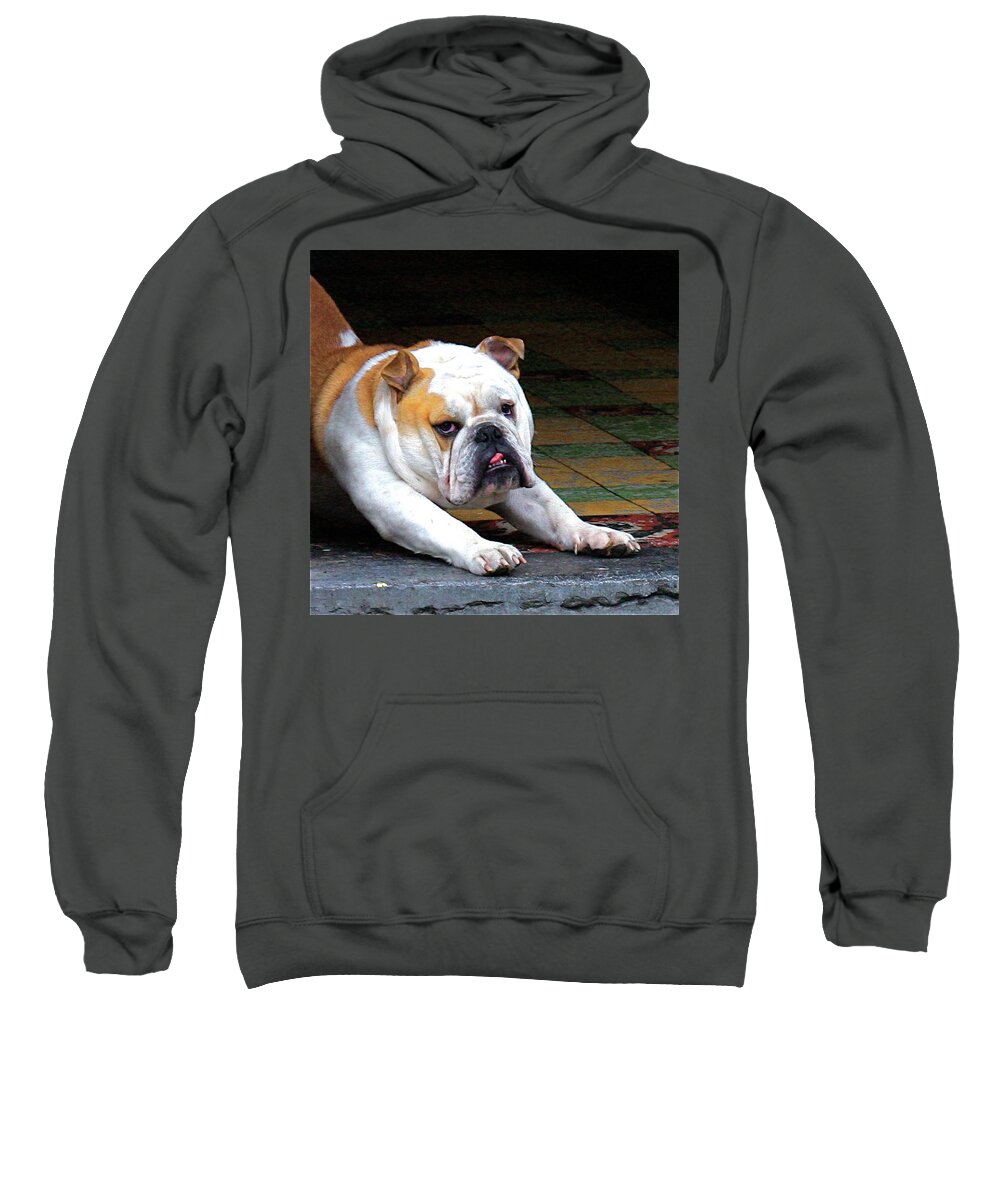 Dog Bulldog Funny Pose Sweatshirt featuring the painting What's it to you by Dorsey Northrup