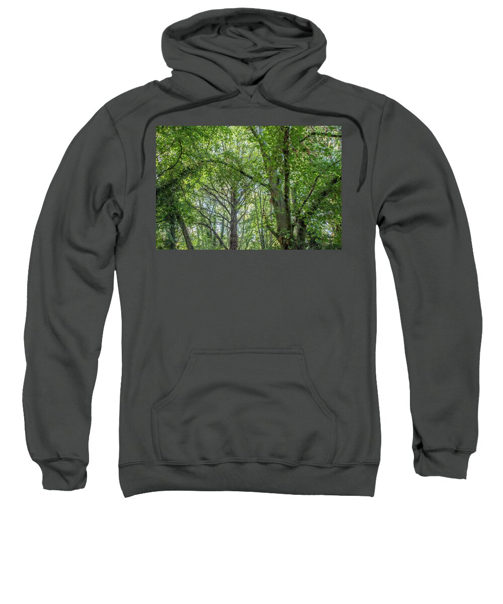 Whetstone Stray Sweatshirt featuring the photograph Whetstone Stray Trees Fall 15 by Edmund Peston