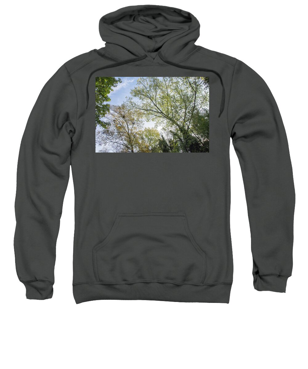 Whetstone Stray Sweatshirt featuring the photograph Whetstone Stray Trees Fall 9 by Edmund Peston
