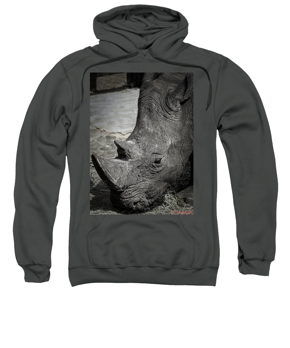 Rhinoceros Sweatshirt featuring the photograph White Rhino by Rene Vasquez
