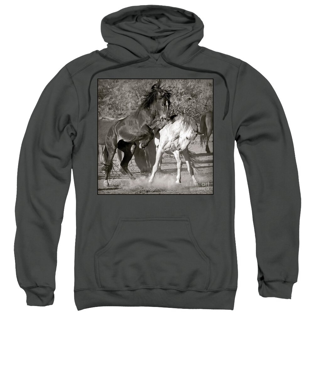 Wild Sweatshirt featuring the photograph WIld Horses Sparring by Martin Konopacki