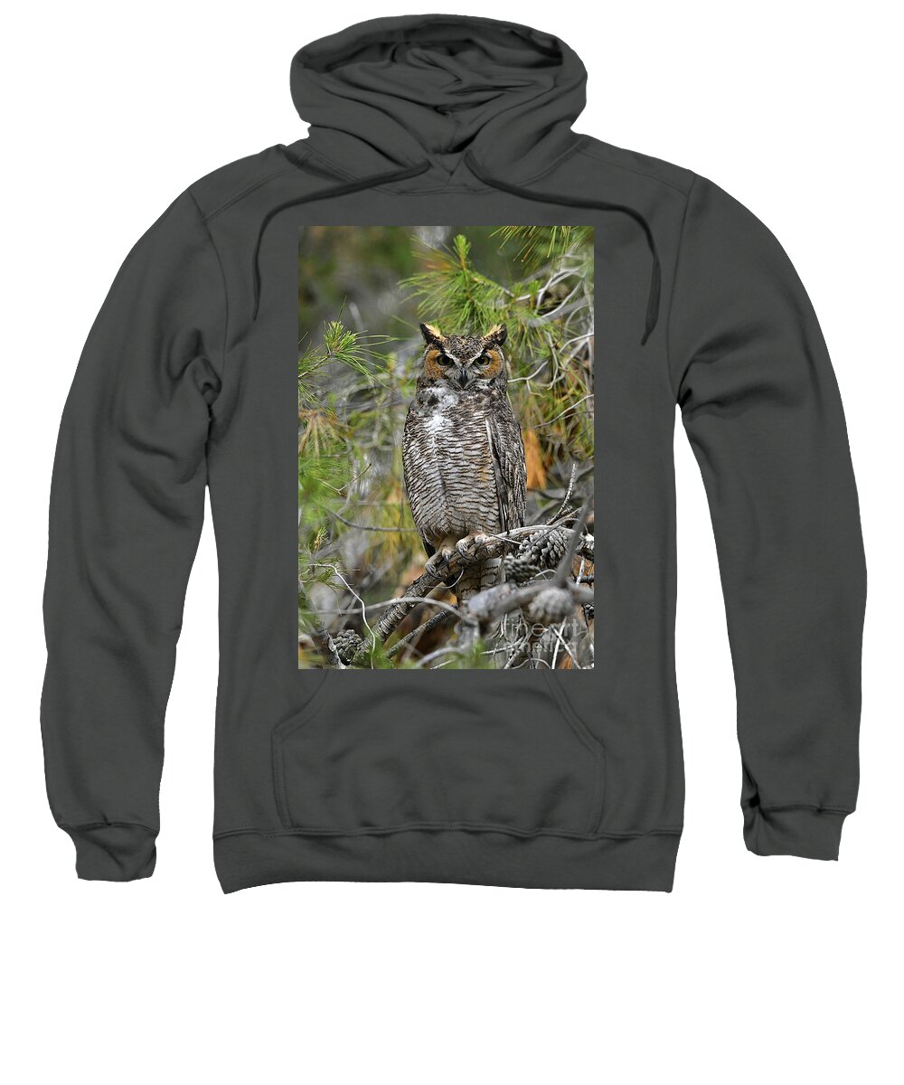 Wild Owl Sweatshirt featuring the digital art Wild Owl by Tammy Keyes