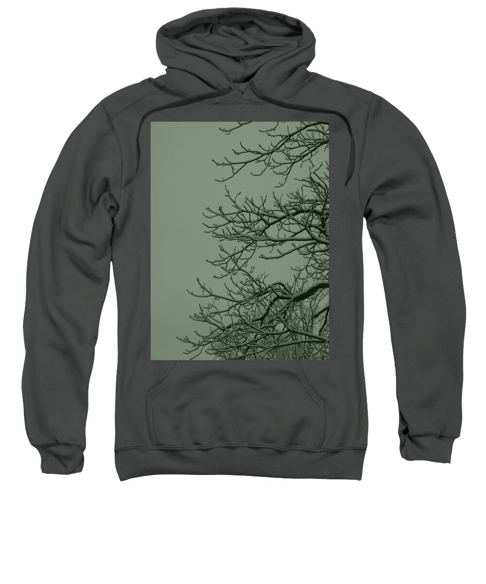 Winter Sweatshirt featuring the photograph Winter 1 by Jeffrey Peterson