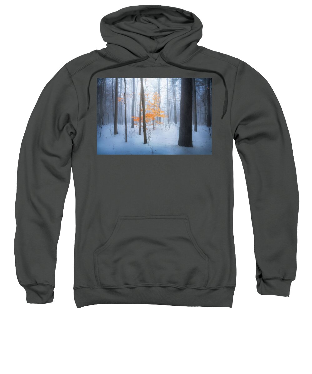 Forest Sweatshirt featuring the photograph Winter Forest by Henry w Liu