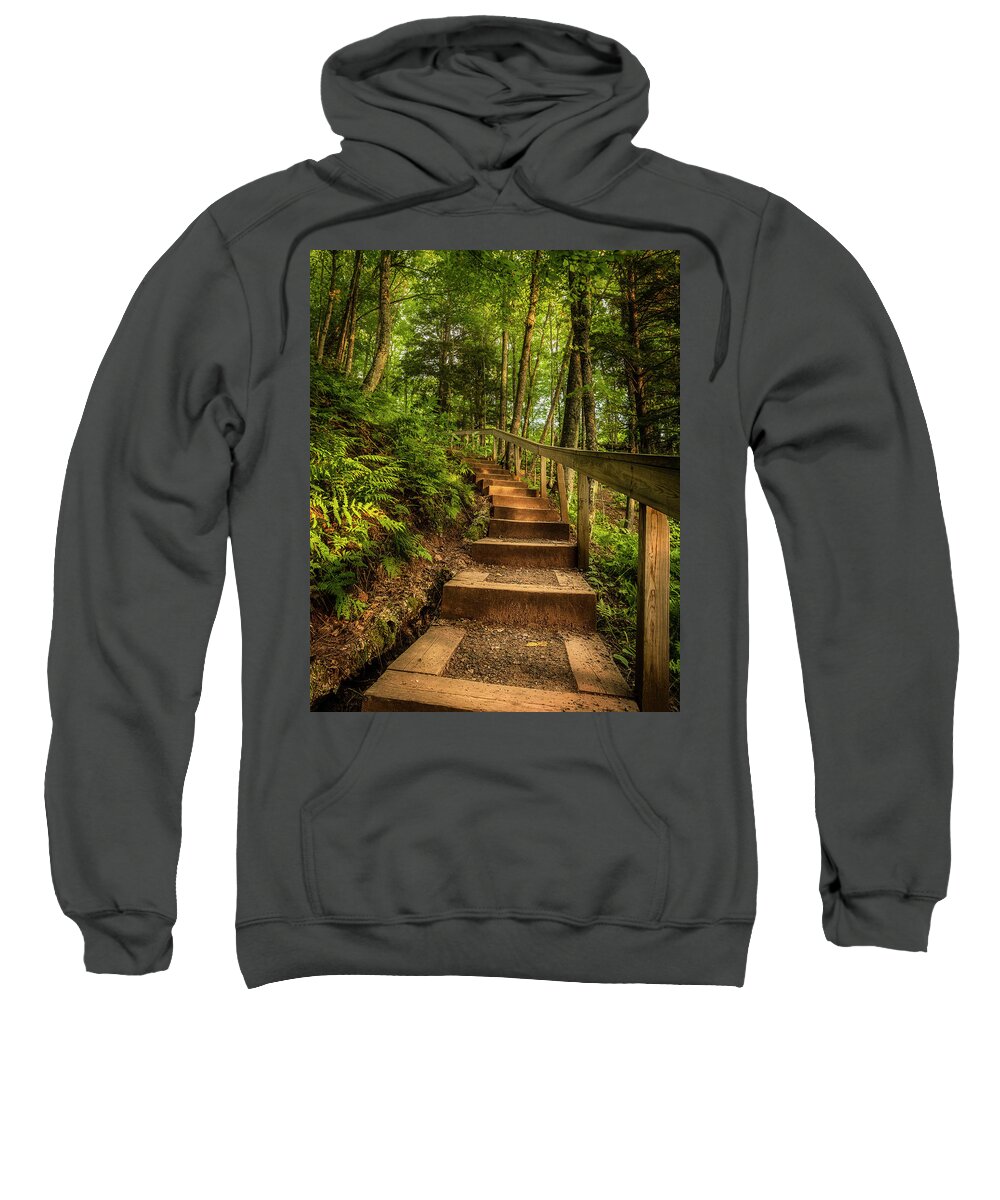 Forest Sweatshirt featuring the photograph Woodland Staircase by Nate Brack