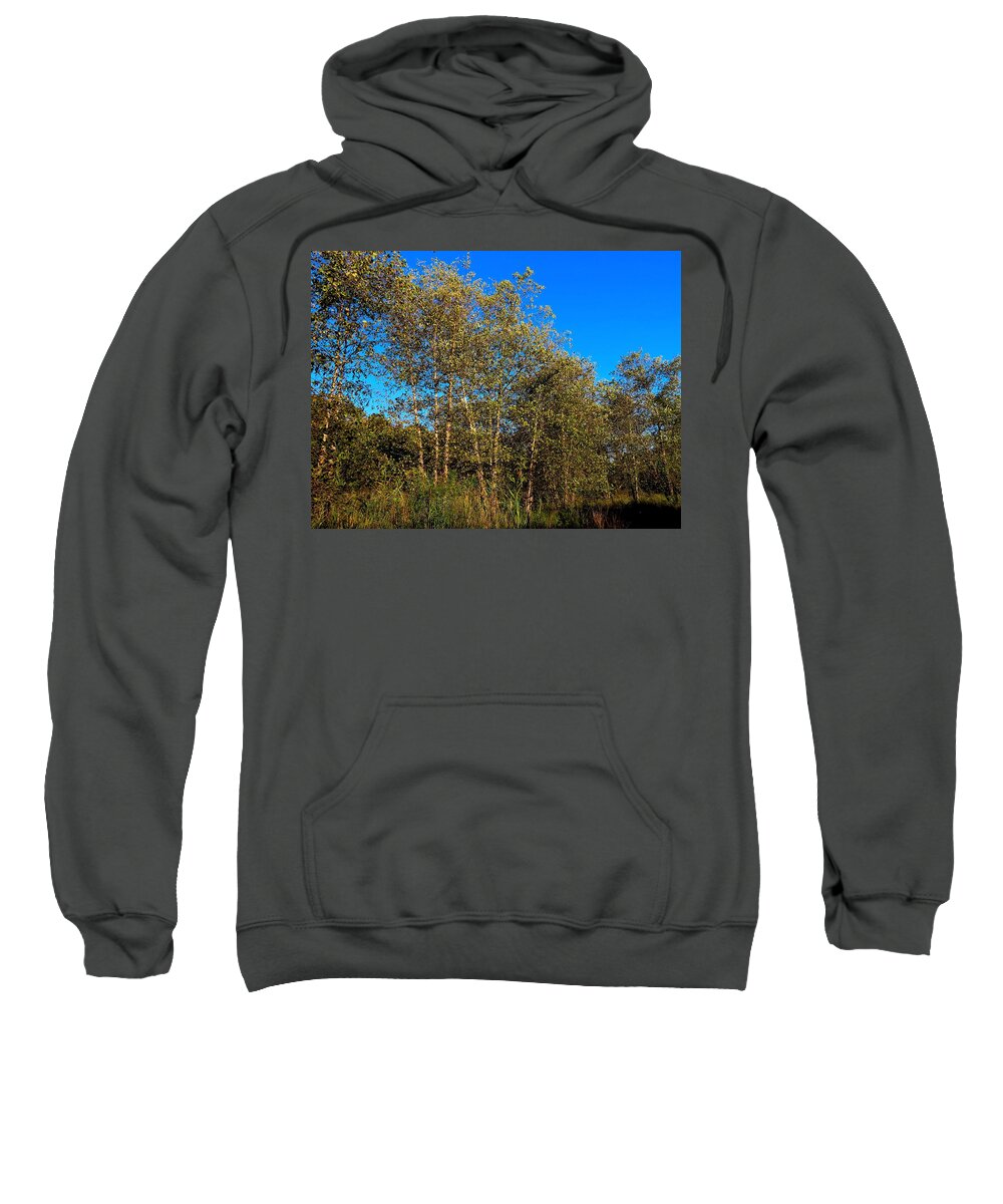 Trees Sweatshirt featuring the photograph Woodlands at Palmyra Nature Cove by Linda Stern