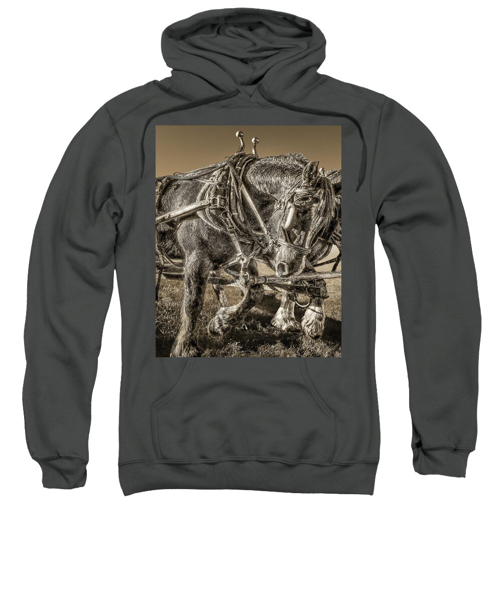 Horse Sweatshirt featuring the photograph Working Draft Horse, Sepia by Don Schimmel