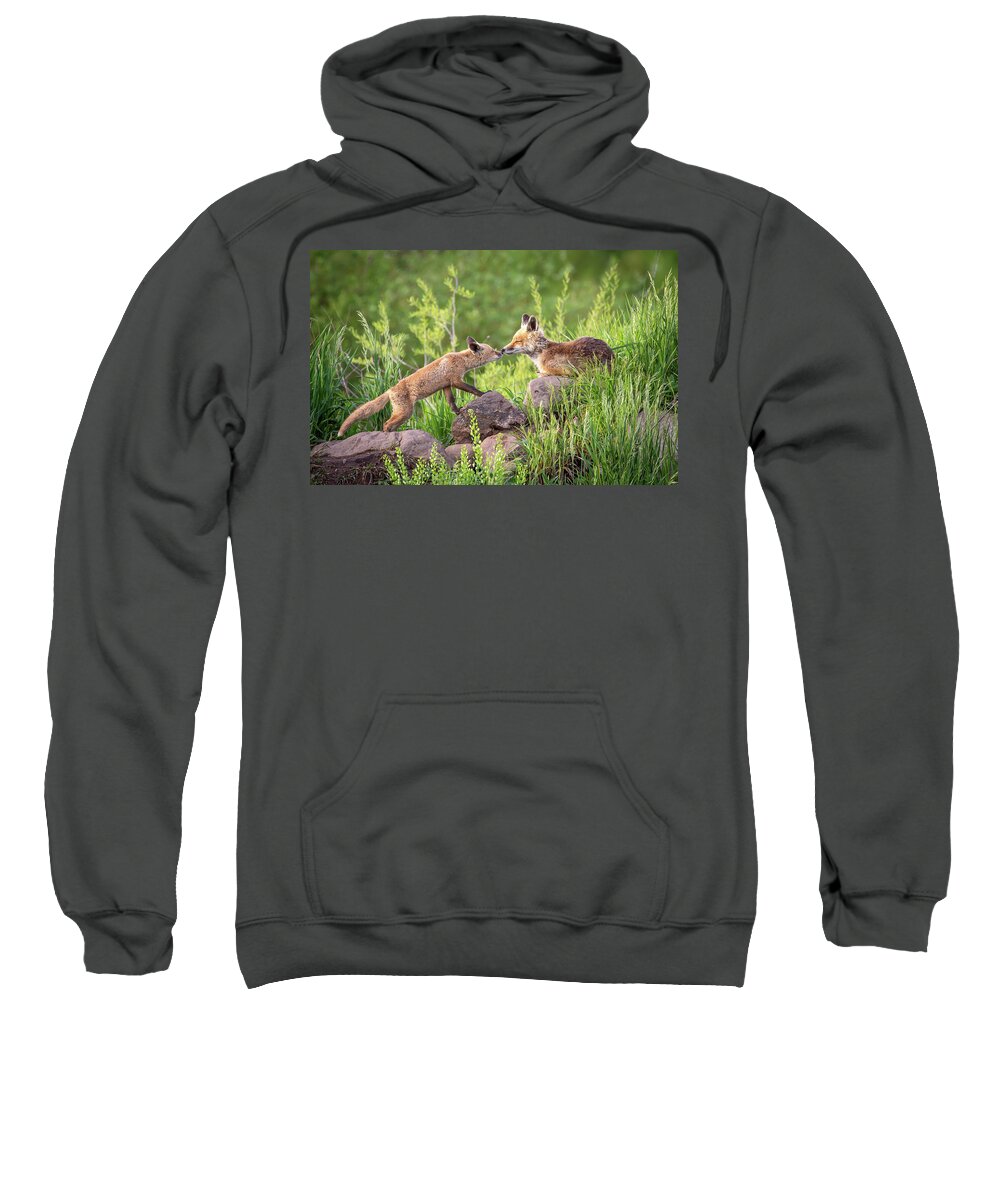 2015 Sweatshirt featuring the photograph Yampa Kiss by Kevin Dietrich
