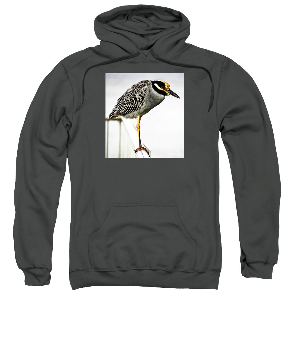 Heron Sweatshirt featuring the photograph Yellow Crowned Night Heron by Joanne Carey