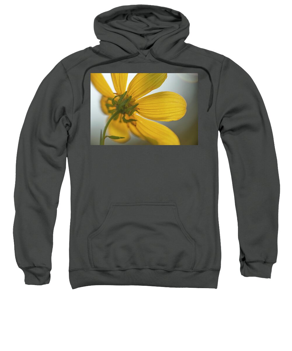 Daisy Sweatshirt featuring the photograph Yellow Summer Daisy Macro by Karen Rispin
