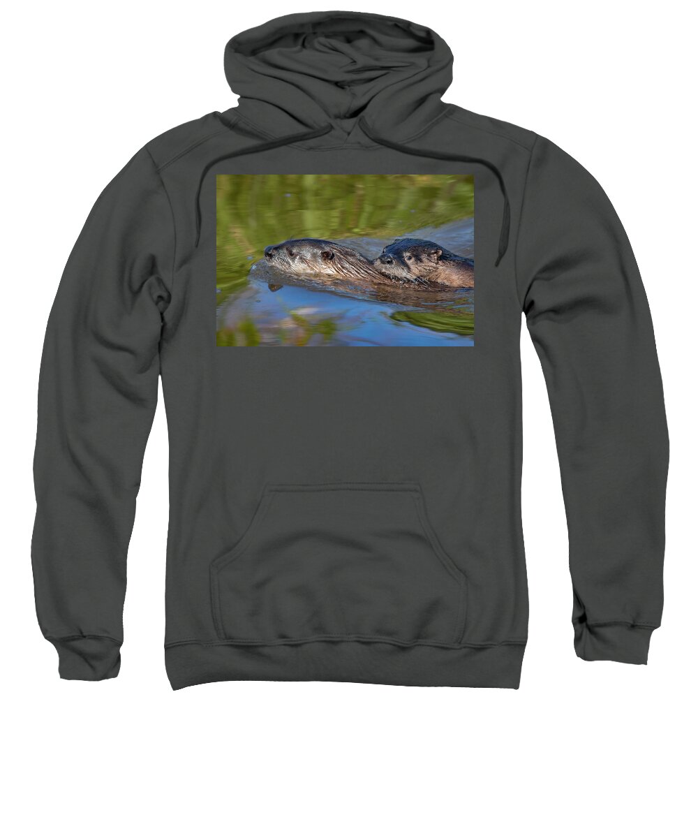 Color Image Sweatshirt featuring the photograph River Otters by Mark Miller