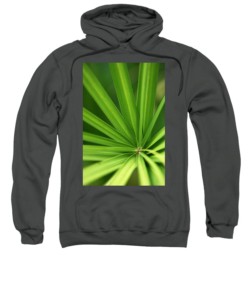 Yucca Sweatshirt featuring the photograph Yucca abstract by Karen Rispin