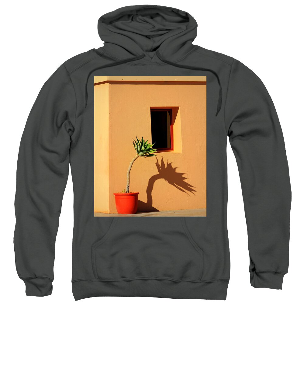 Yucca Sweatshirt featuring the photograph Yucca by Gene Taylor