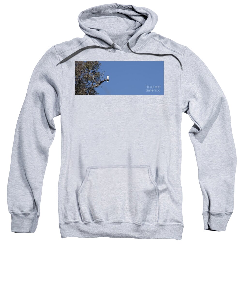 Australia Sweatshirt featuring the photograph Cockatoo - Australia by Steven Ralser