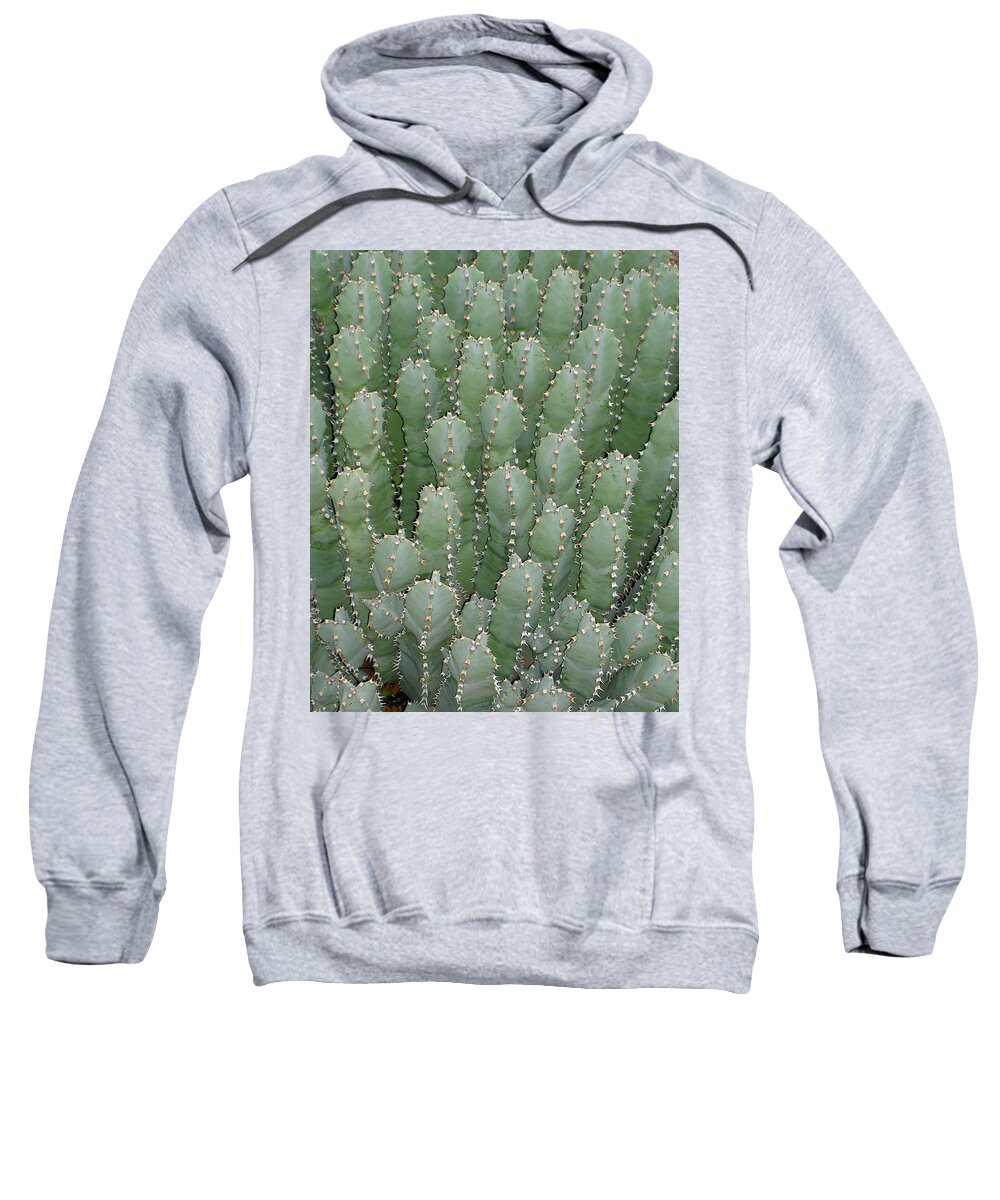 Desert Sweatshirt featuring the photograph Desert Soldiers #1 by Carolyn Jacob