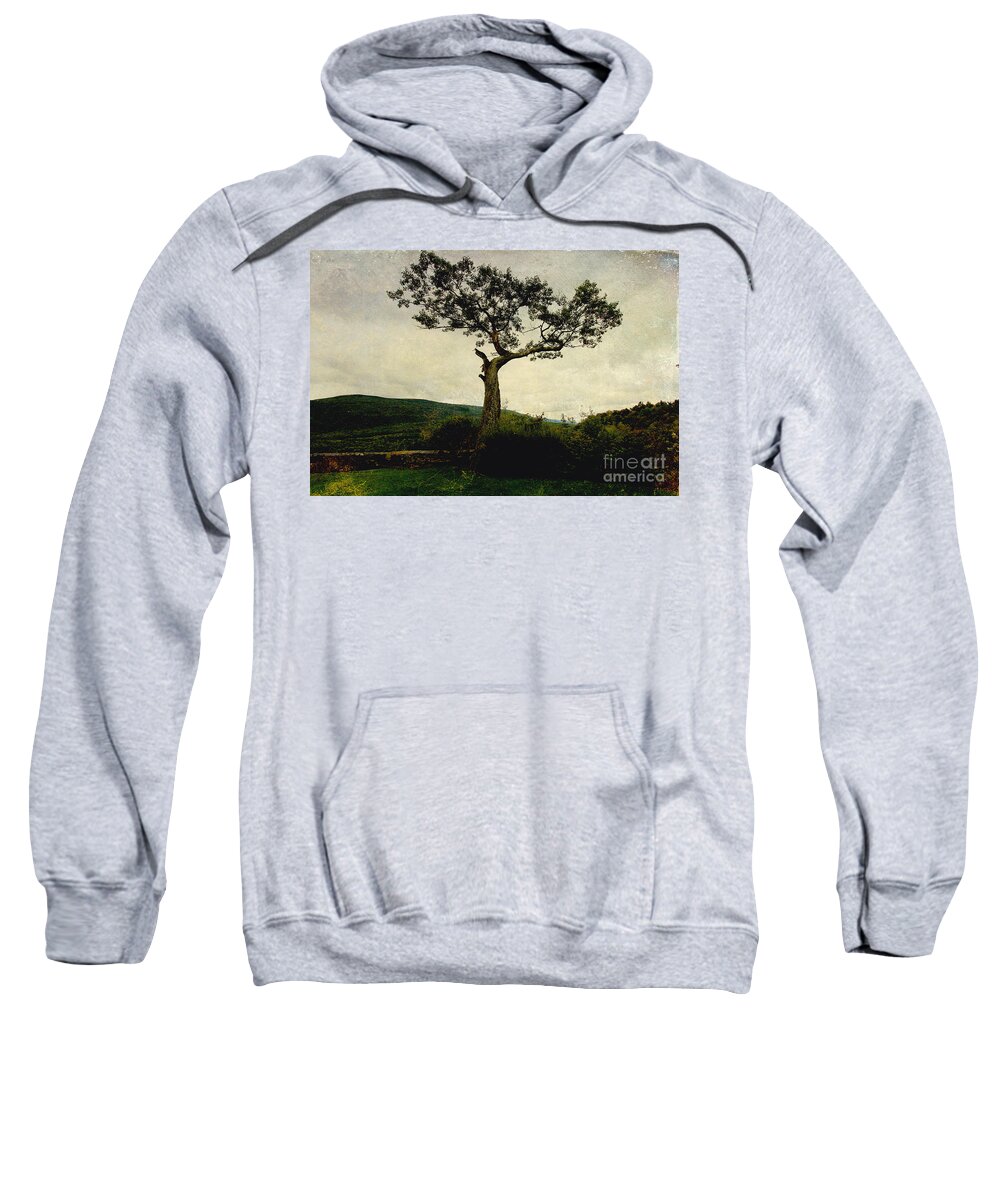 Trees Sweatshirt featuring the digital art Lonely Tree by Trina Ansel