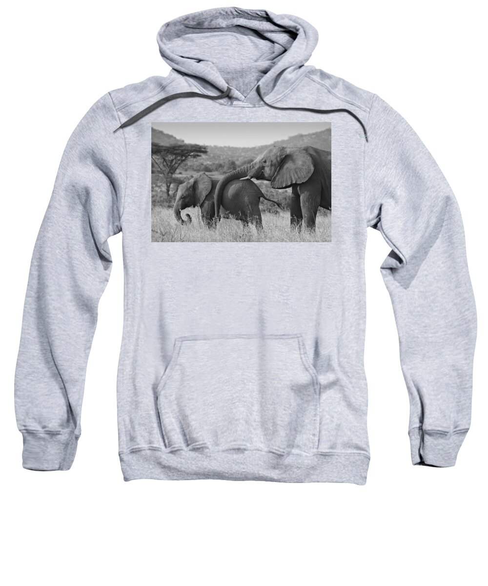 Africa Sweatshirt featuring the photograph Maternal Love #2 by Michele Burgess