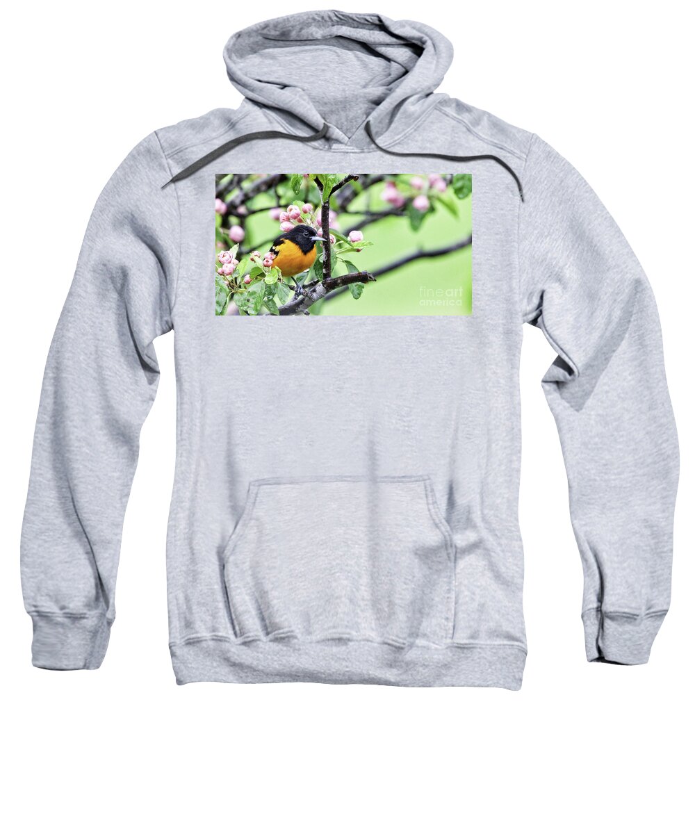 Baltimore Oriole Sweatshirt featuring the photograph Pretty in Pink #1 by Jan Killian