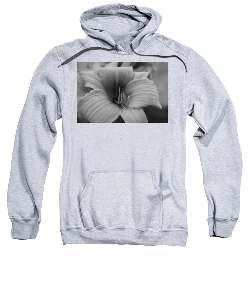 Floral Sweatshirt featuring the photograph Single Spring Flower by Miguel Winterpacht