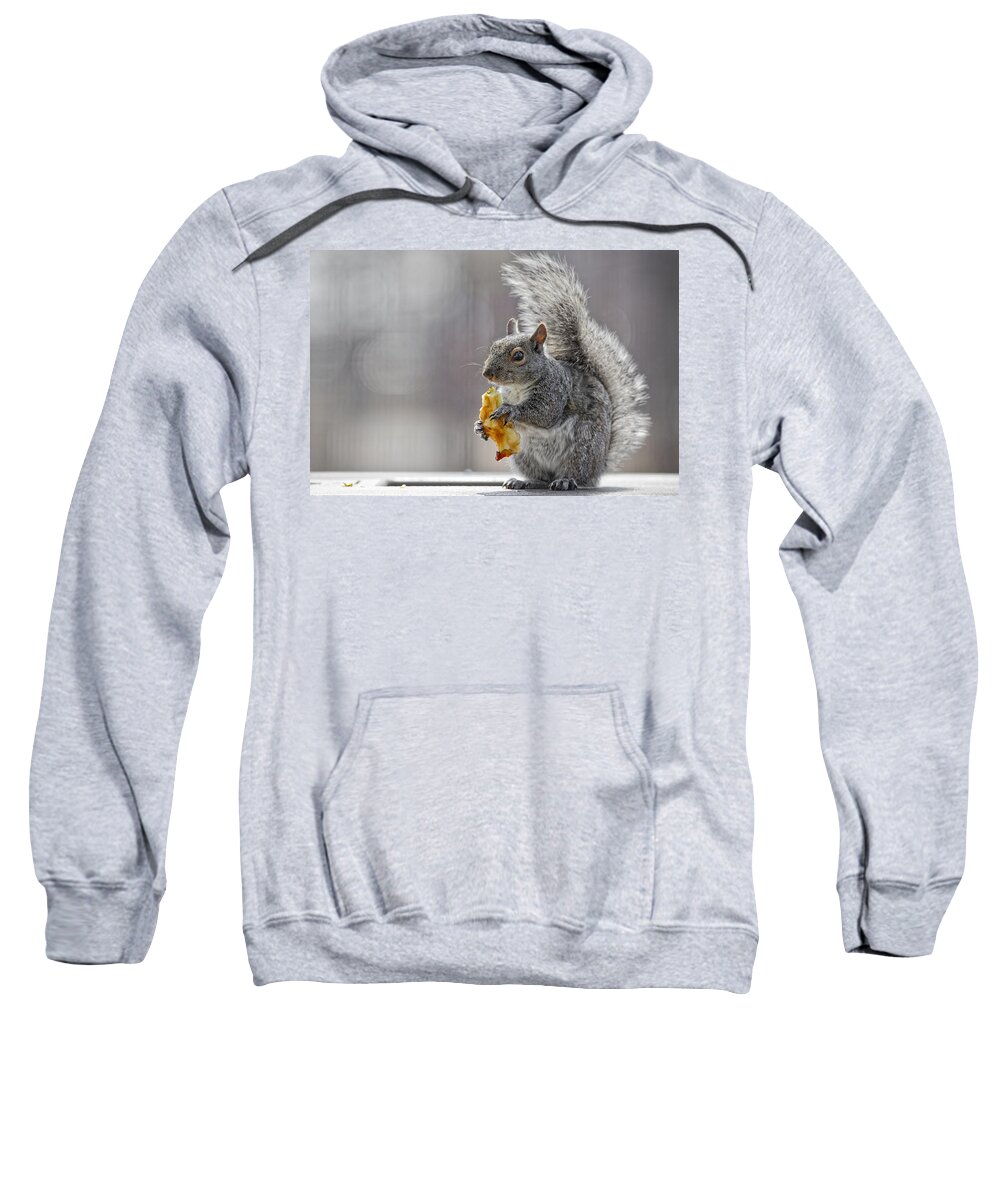 Adorable Sweatshirt featuring the photograph Squirrel #1 by Peter Lakomy