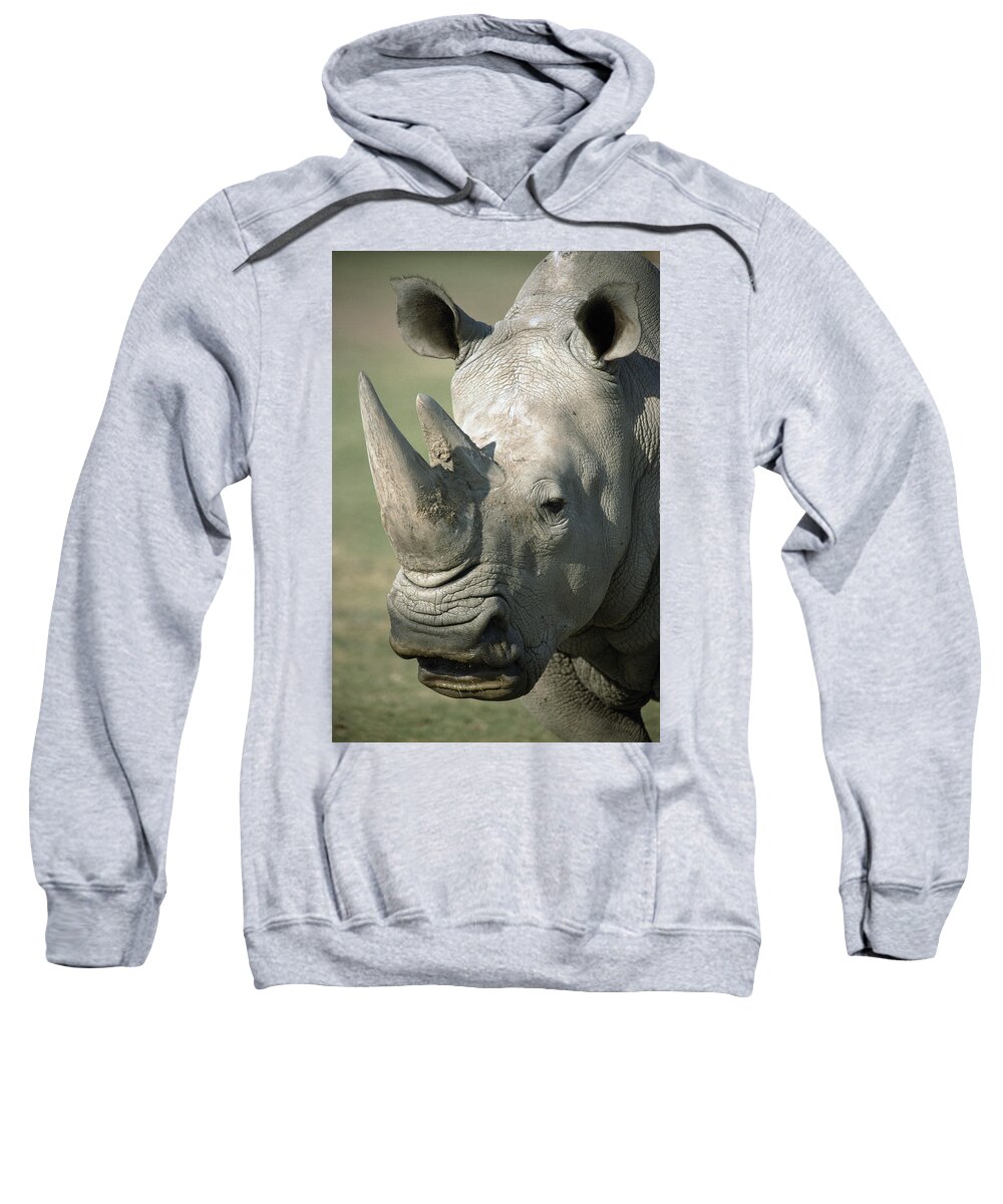 Feb0514 Sweatshirt featuring the photograph White Rhinoceros Portrait #1 by San Diego Zoo