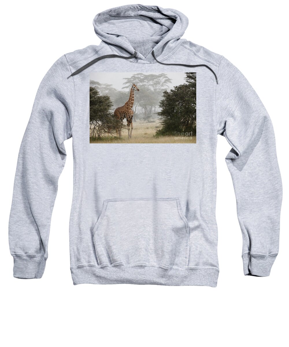 Fauna Sweatshirt featuring the photograph Rothschilds Giraffe #2 by John Shaw