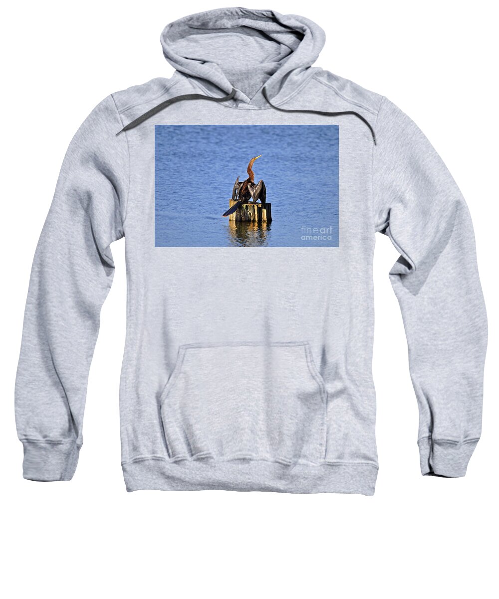 Anhinga Sweatshirt featuring the photograph Wet Wings #2 by Al Powell Photography USA