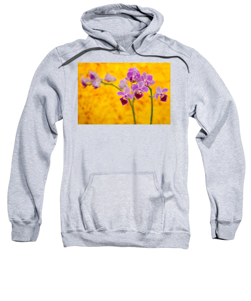 Orchid Sweatshirt featuring the photograph Purple Orchid-9 by Rudy Umans