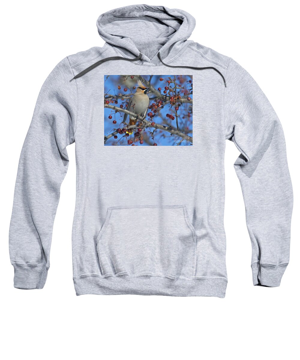 Festblues Sweatshirt featuring the photograph A Bird for its Crest.. by Nina Stavlund