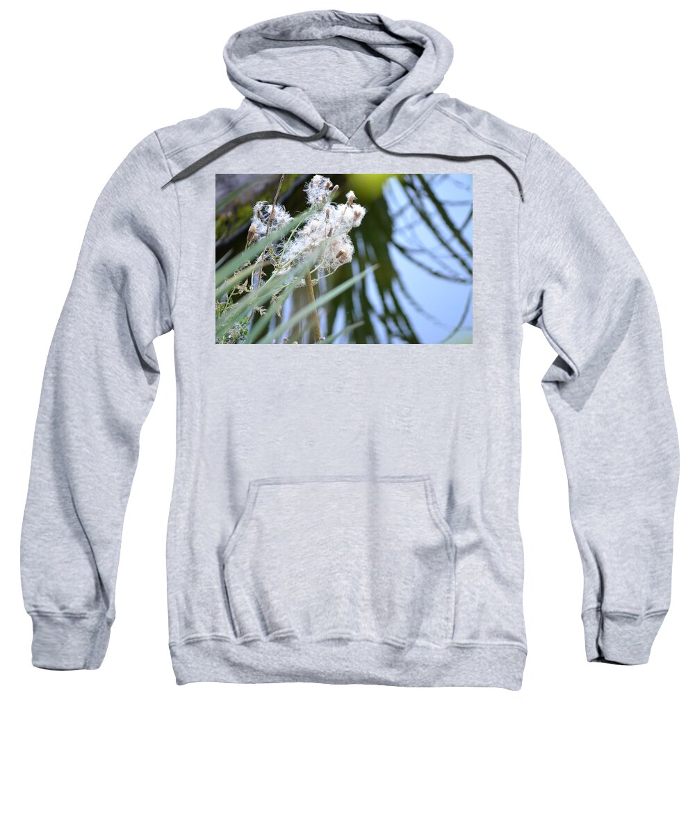 Marsh Sweatshirt featuring the photograph All the World is Fluff and Posture by Laureen Murtha Menzl