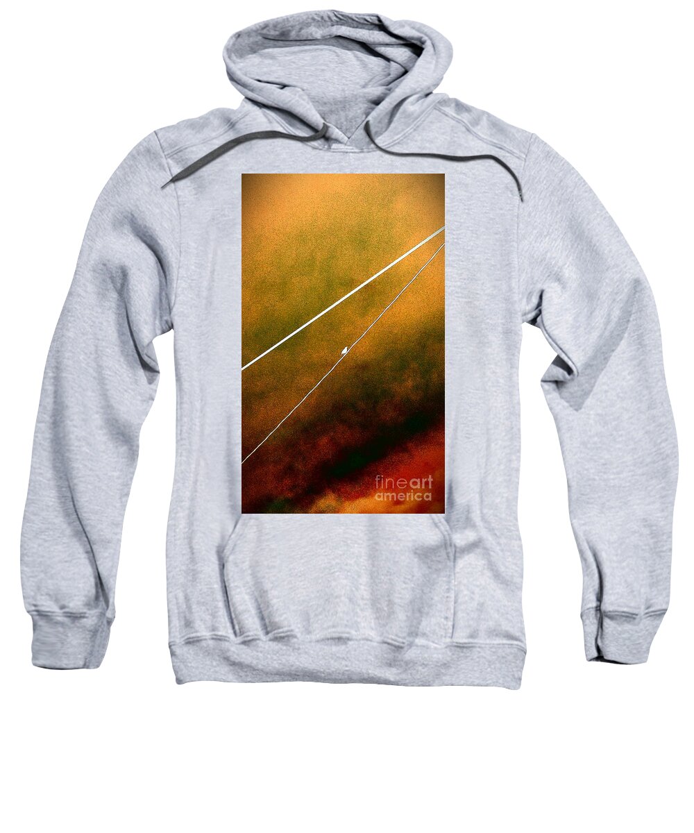Bird Sweatshirt featuring the photograph Always Waiting For Me by Jacqueline McReynolds